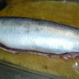 今 旬の生鰊 シンプルだが塩焼きが最高です レシピ 作り方 By ぽったーぶー楽天 楽天レシピ 今 旬の生鰊 シンプルだが塩焼きが最高です レシピ 作り方 By ぽったーぶー楽天 楽天レシピ